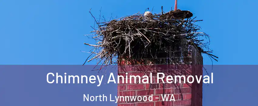  Chimney Animal Removal North Lynnwood - WA