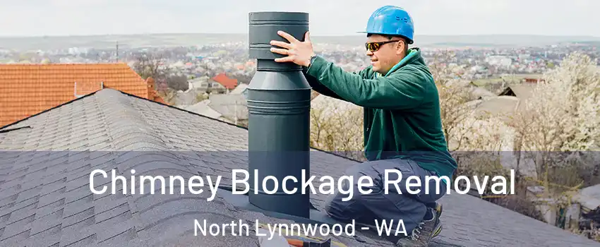  Chimney Blockage Removal North Lynnwood - WA