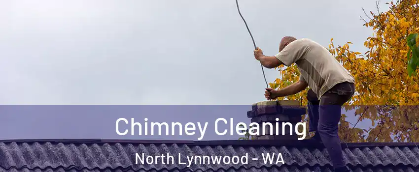  Chimney Cleaning North Lynnwood - WA