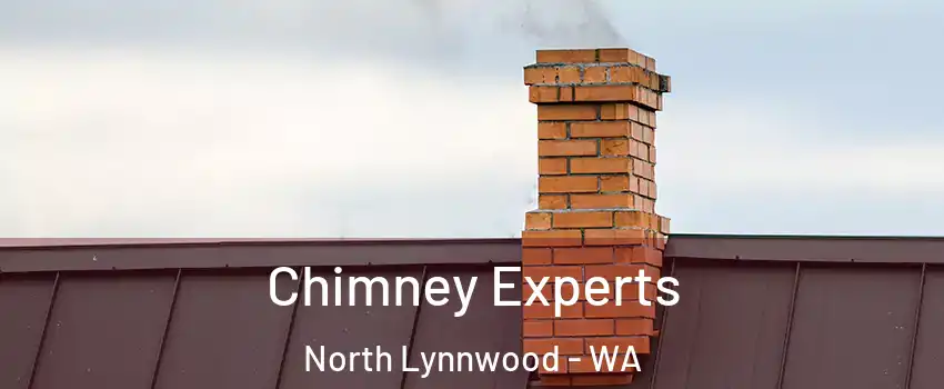 Chimney Experts North Lynnwood - WA