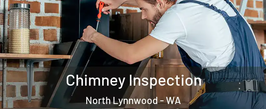  Chimney Inspection North Lynnwood - WA