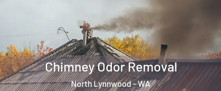  Chimney Odor Removal North Lynnwood - WA