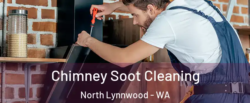  Chimney Soot Cleaning North Lynnwood - WA
