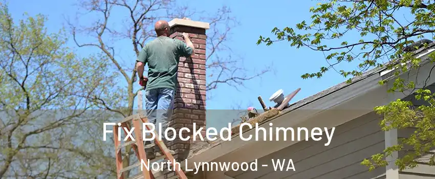  Fix Blocked Chimney North Lynnwood - WA