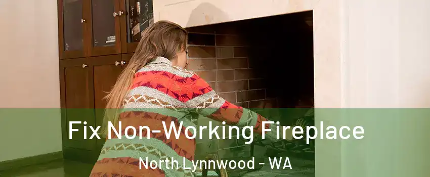  Fix Non-Working Fireplace North Lynnwood - WA
