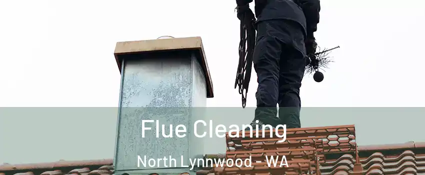  Flue Cleaning North Lynnwood - WA