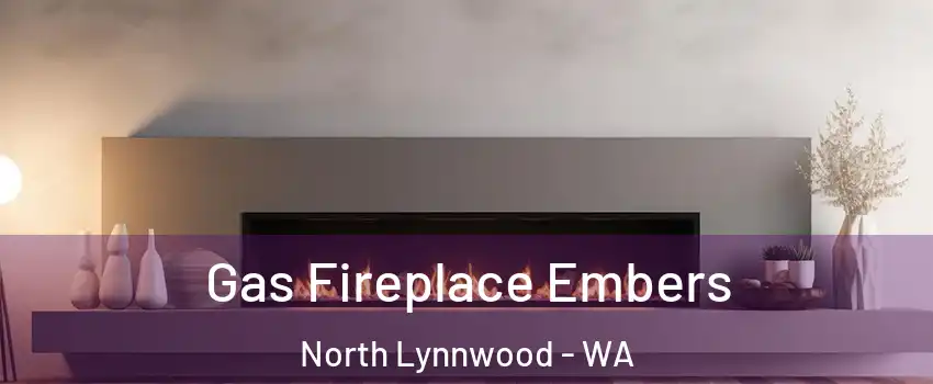  Gas Fireplace Embers North Lynnwood - WA