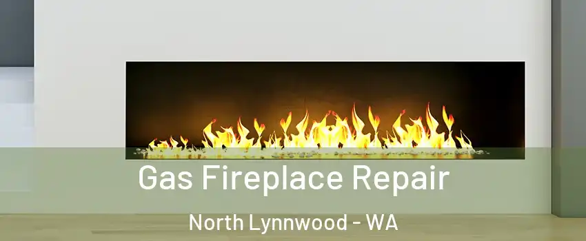  Gas Fireplace Repair North Lynnwood - WA