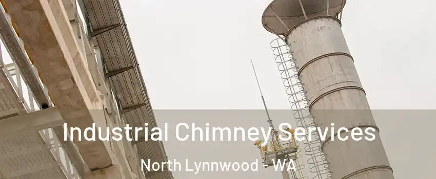  Industrial Chimney Services North Lynnwood - WA