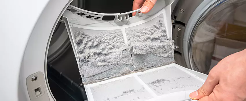Best Dryer Lint Removal Company in North Lynnwood, Washington