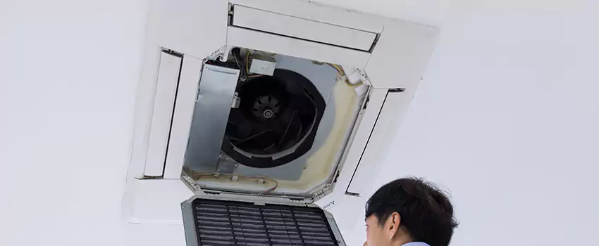 Benefits of Professional Air Duct Cleaning in North Lynnwood, Washington