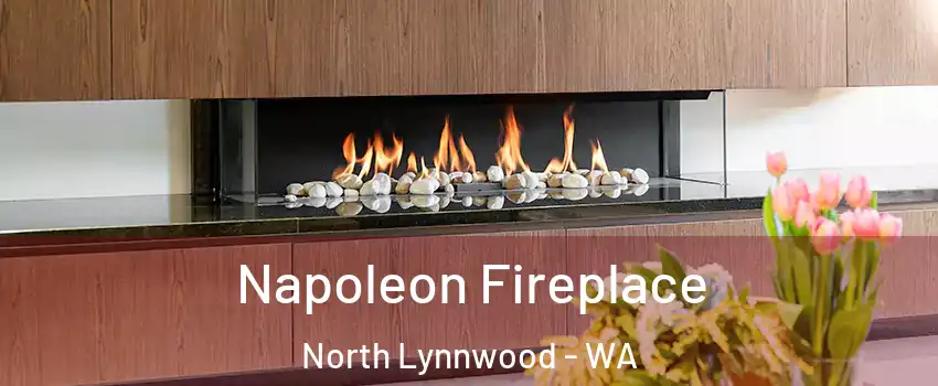  Napoleon Fireplace North Lynnwood - WA