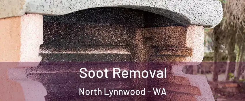  Soot Removal North Lynnwood - WA