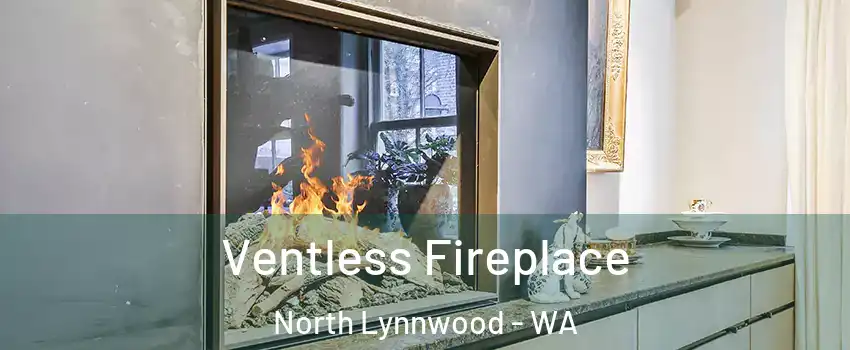 Ventless Fireplace North Lynnwood - WA